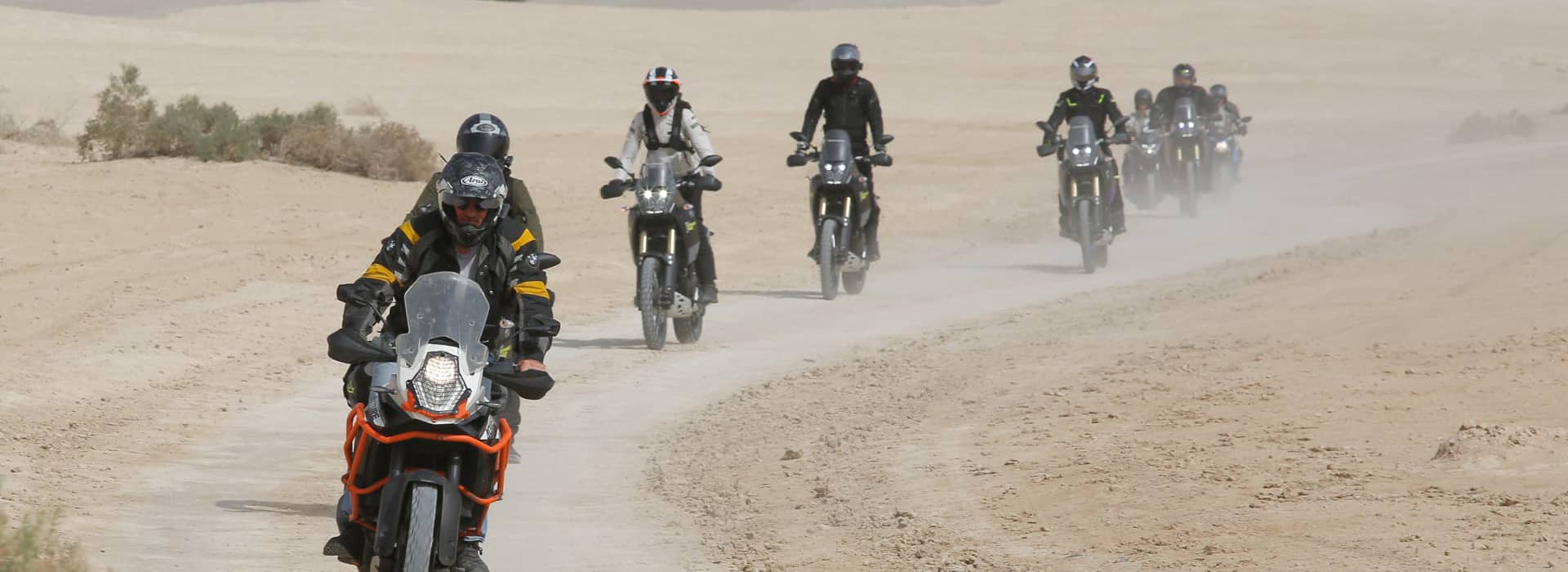 5ª imagem - cardo